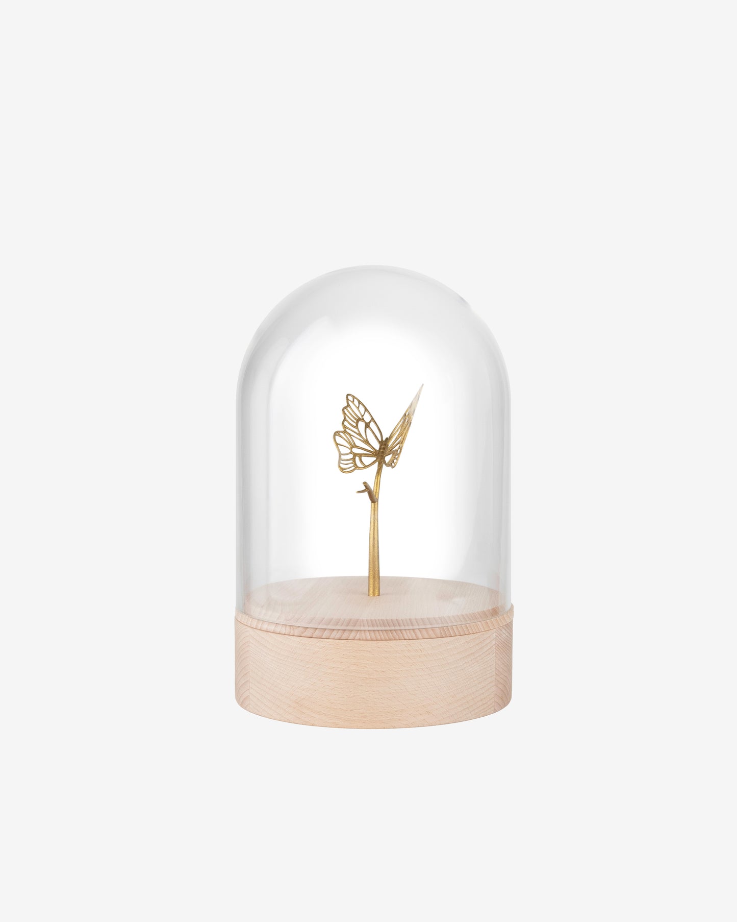 Vlinder Stolp Urn