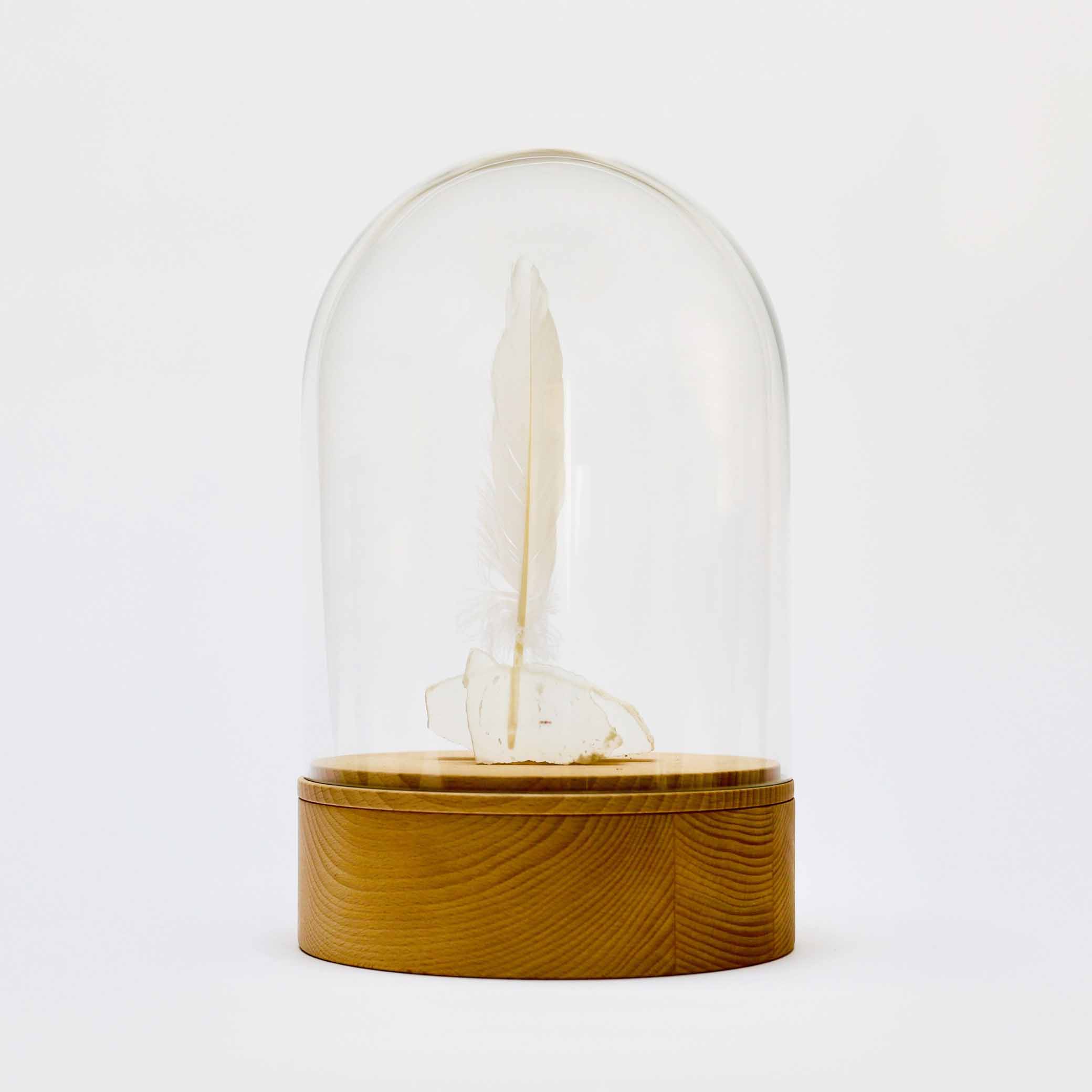 Houten design urn met glazen stolp en witte veer