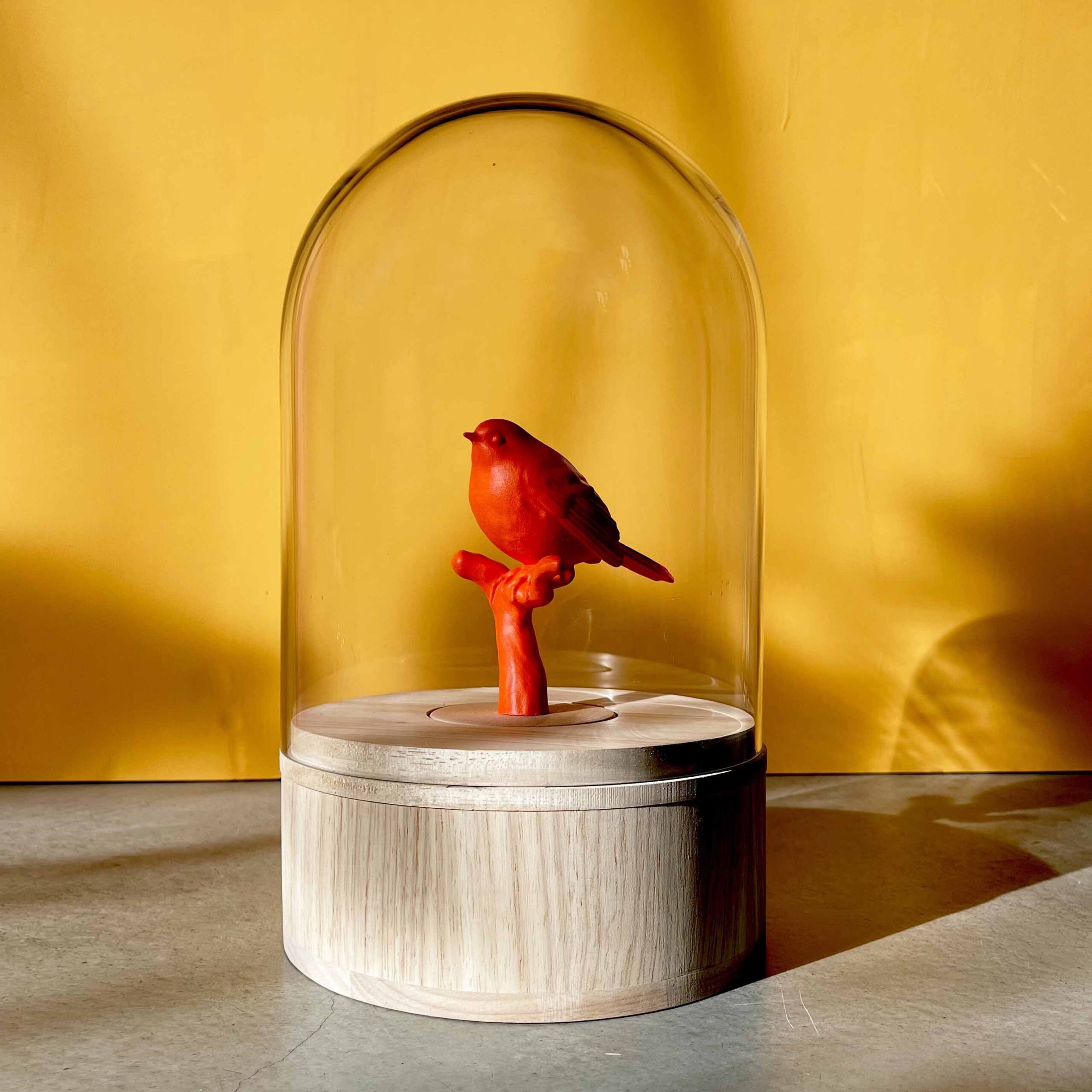 Unieke houten design urn met oranje vogel en glazen stolp