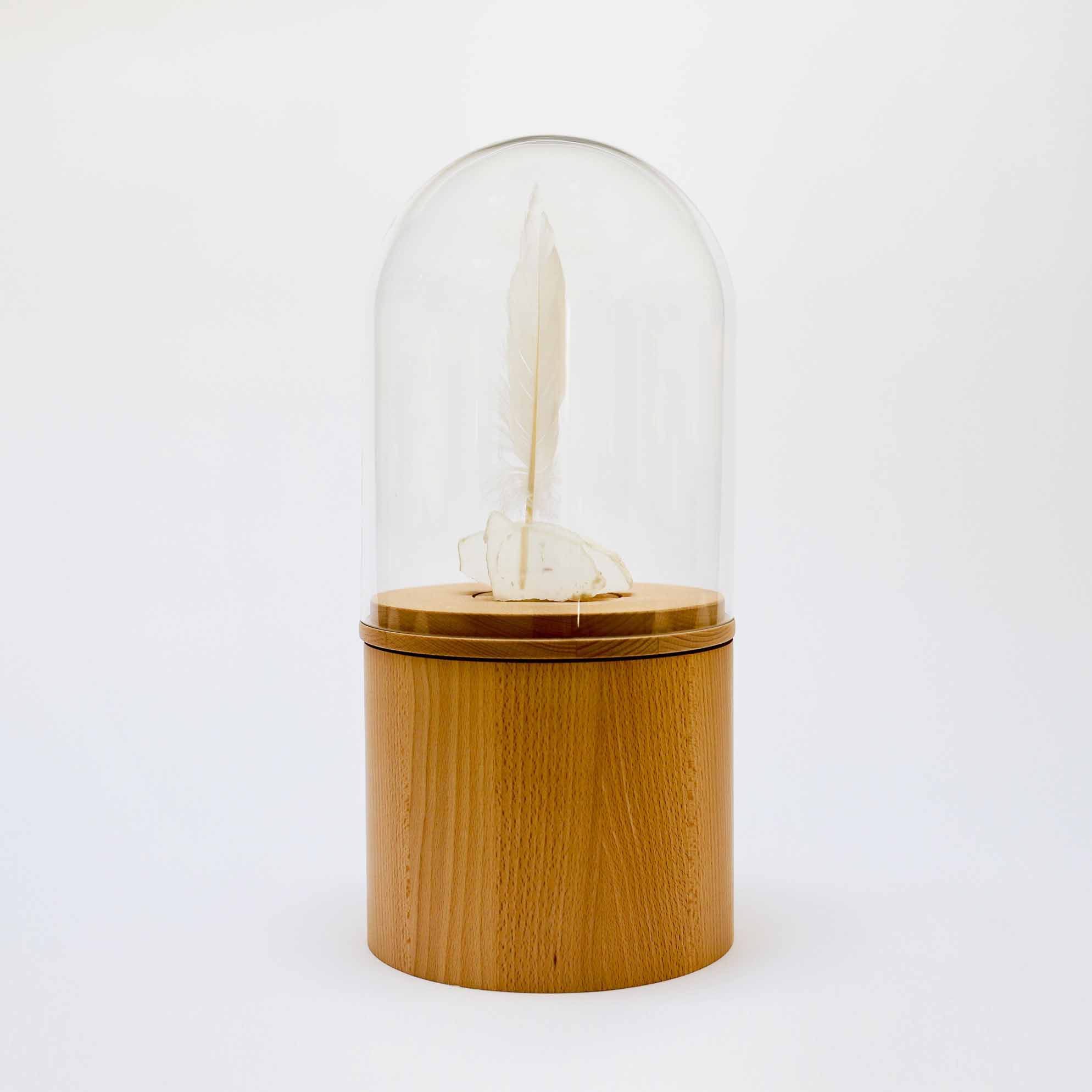 Grote houten urn met veer en glazen stolp