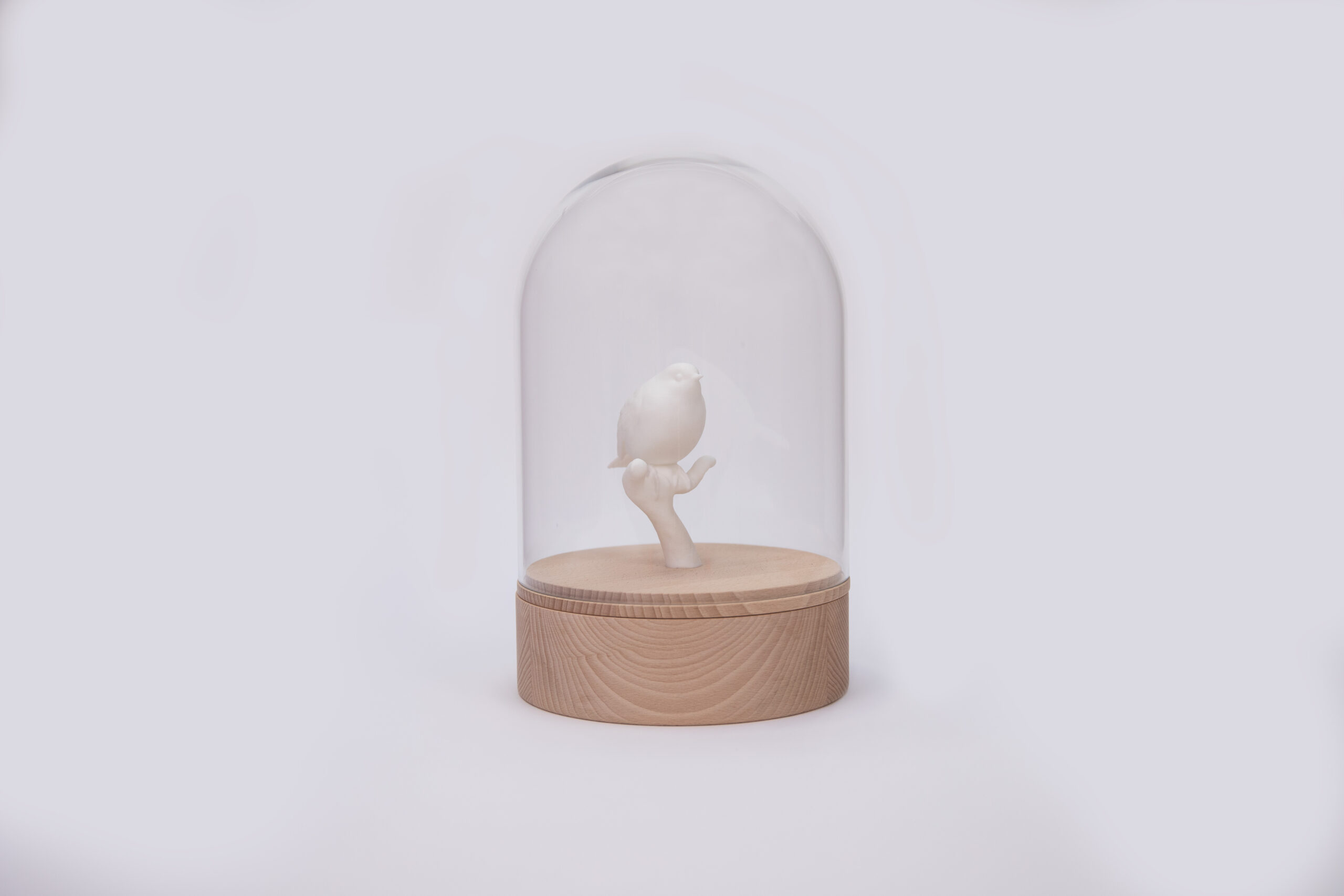 Unieke houten design urn met witte vogel en glazen stolp