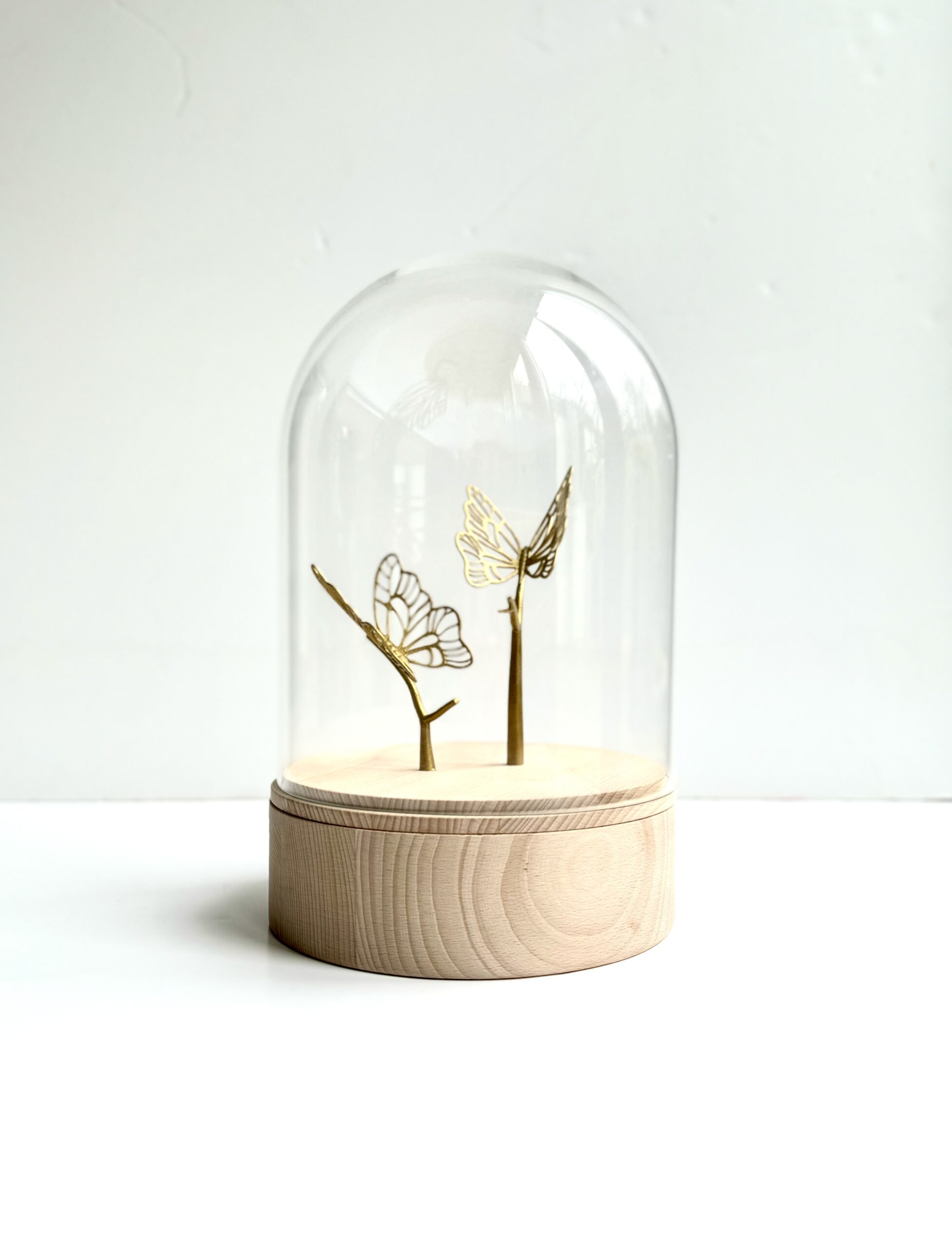 Houten urn met glazen stolp en vlinders
